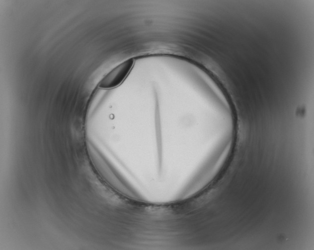 X0000113861089200910221435