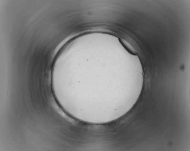 X0000113861092200910221435