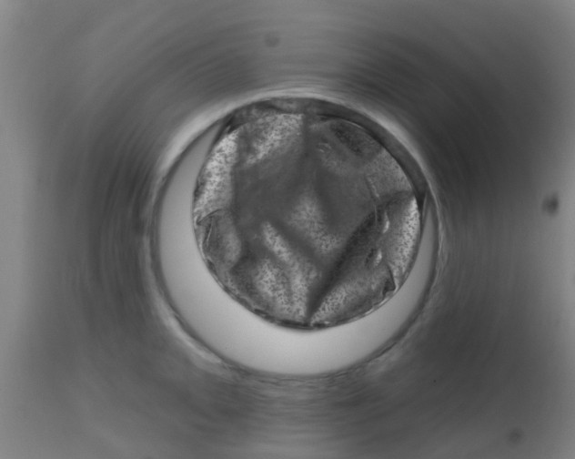 X0000113861093200910221435