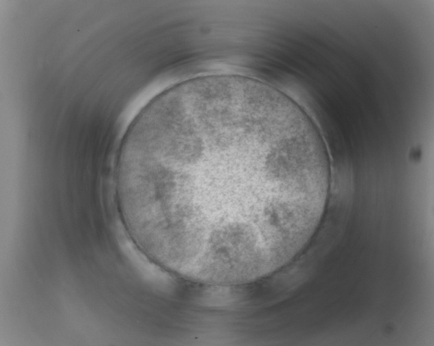 X0000113861098200910221435