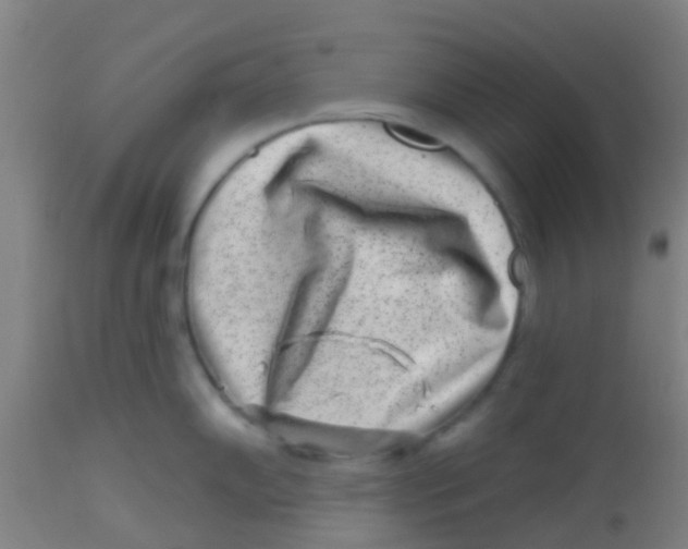 X0000113861102200910221435