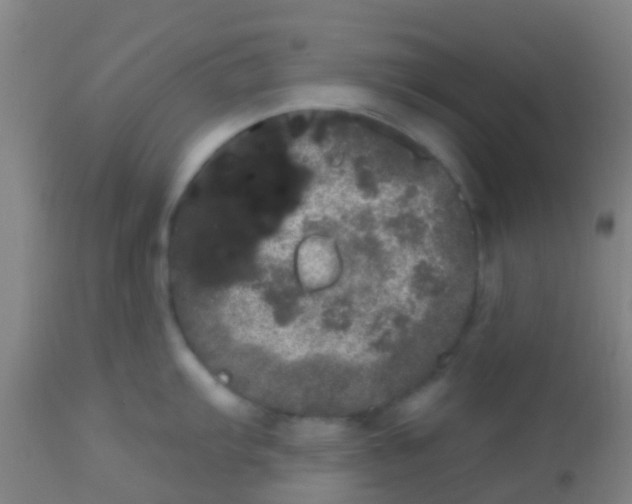 X0000113861103200910221435