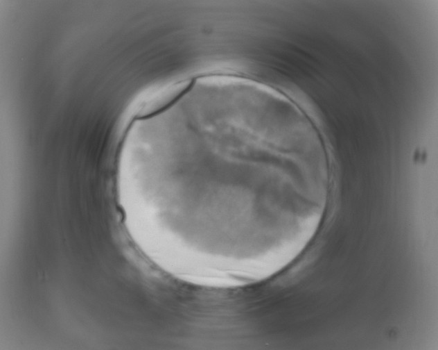X0000113861104200910221435