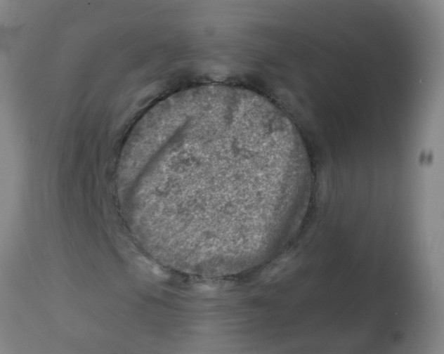 X0000113861105200910221435