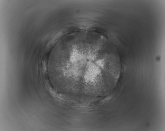 X0000113861106200910221435