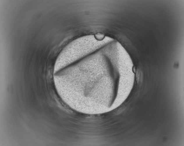 X0000113861107200910221435