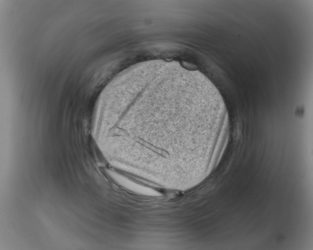 X0000113861108200910221435