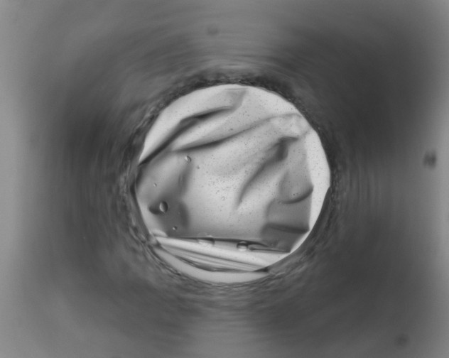 X0000113861109200910221435