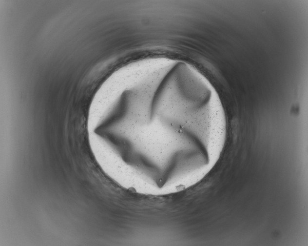X0000113861111200910221435