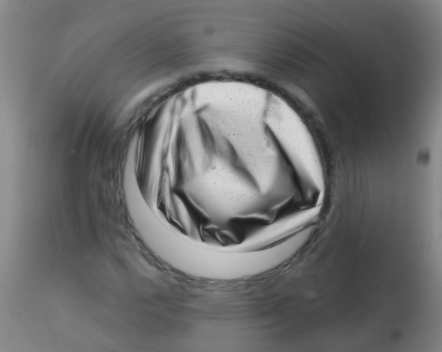 X0000113861112200910221435