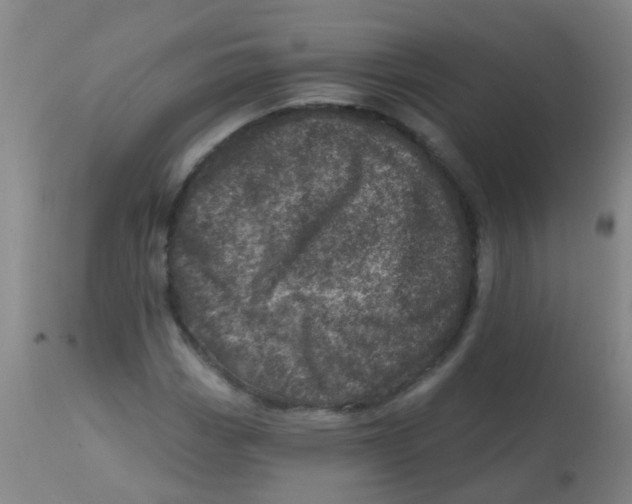 X0000113861113200910221435