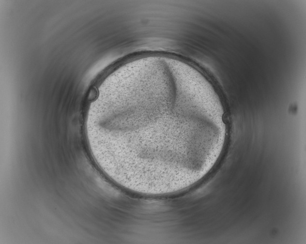 X0000113861114200910221435