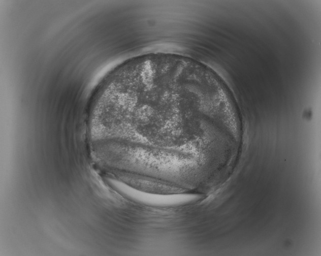 X0000113861115200910221435