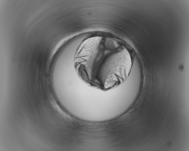 X0000113861116200910221435