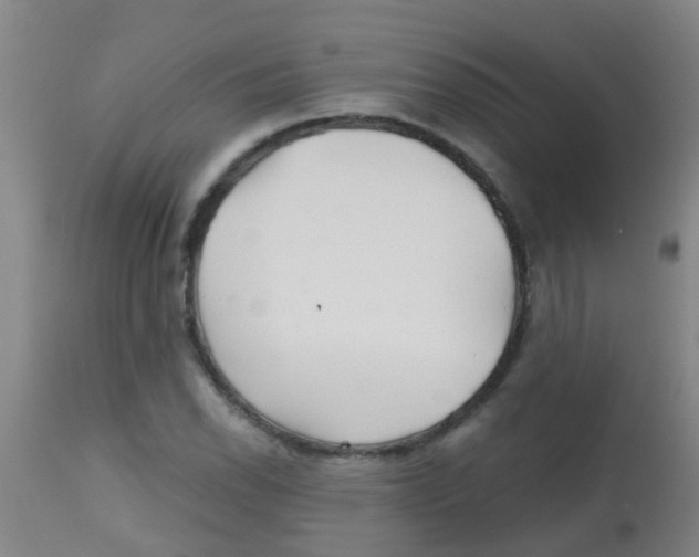 X0000113861118200910221435
