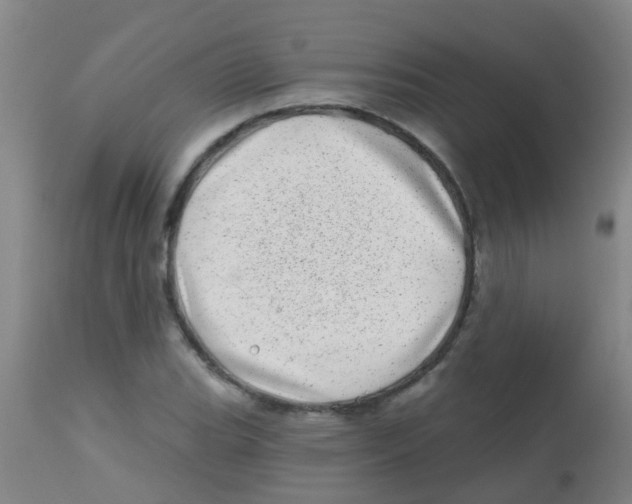 X0000113861119200910221435