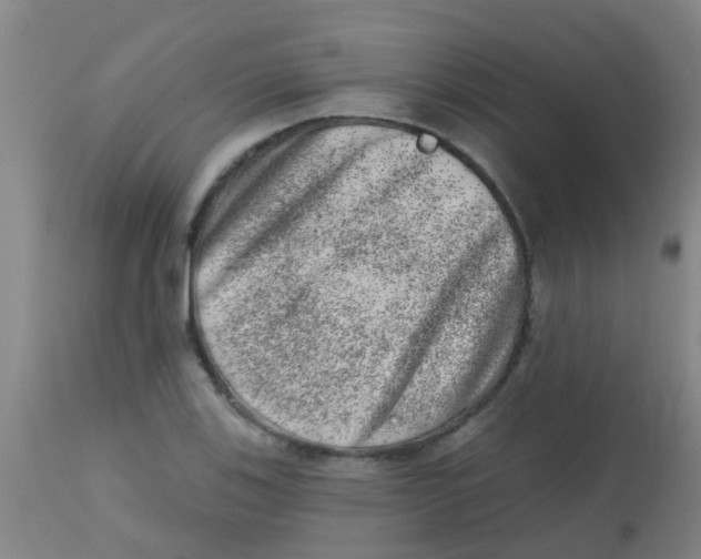 X0000113861123200910221435