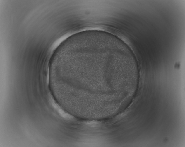 X0000113861127200910221435