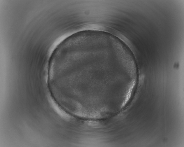 X0000113861128200910221435