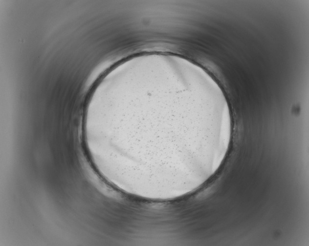 X0000113861130200910221435