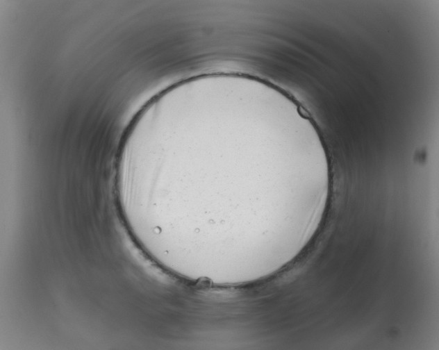 X0000113861134200910221435