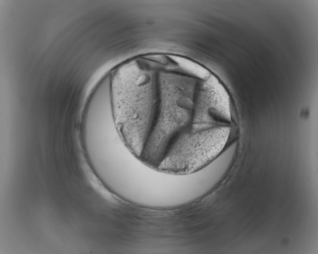 X0000113861136200910221435