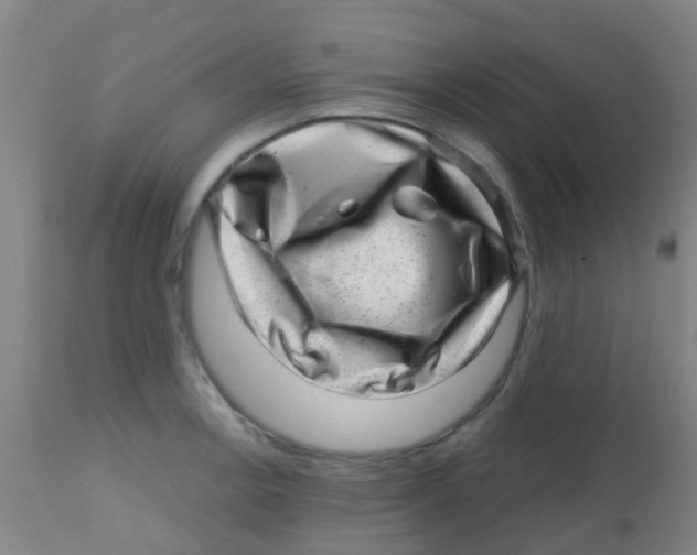 X0000113861138200910221435