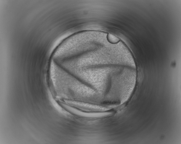 X0000113861139200910221435