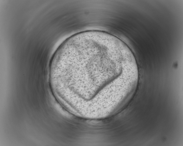 X0000113861140200910221435
