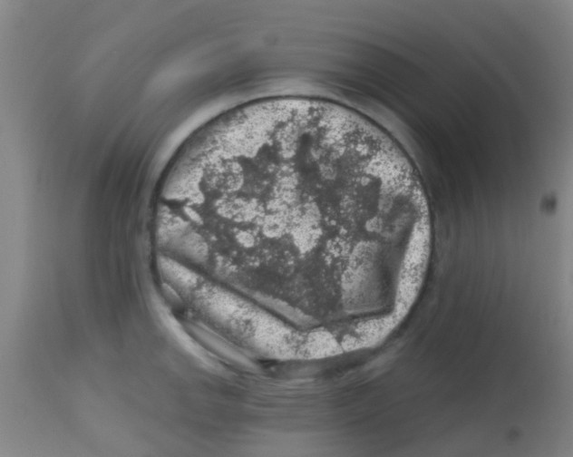 X0000113861142200910221435