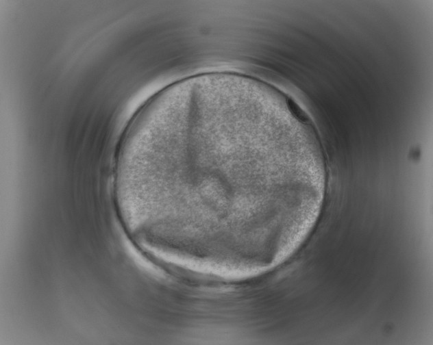 X0000113861143200910221435