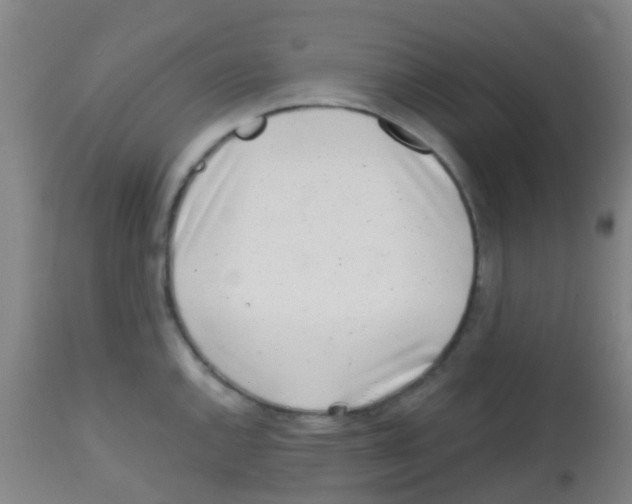 X0000113861144200910221435