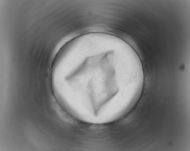 X0000113861146200910221435