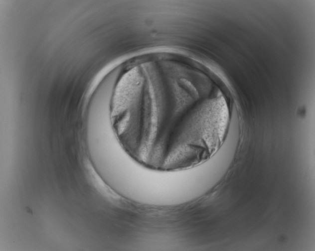 X0000113861148200910221435