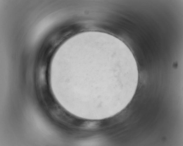 X0000113861150200910221435