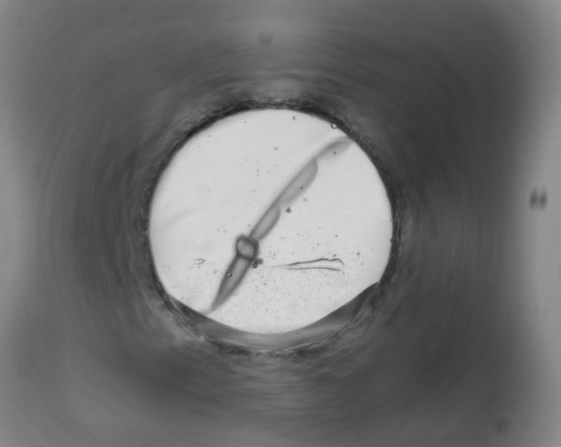 X0000113861153200910221435