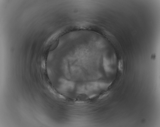 X0000113861155200910221435