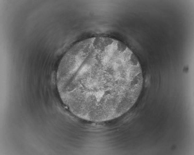 X0000113861156200910221435