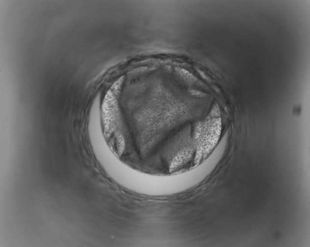 X0000113861157200910221435