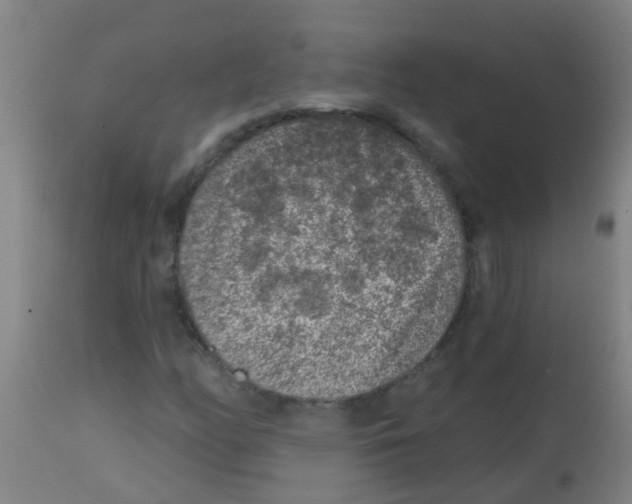 X0000113861158200910221435