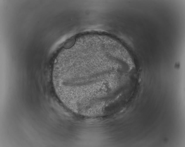 X0000113861159200910221435