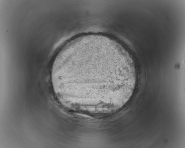 X0000113861160200910221435