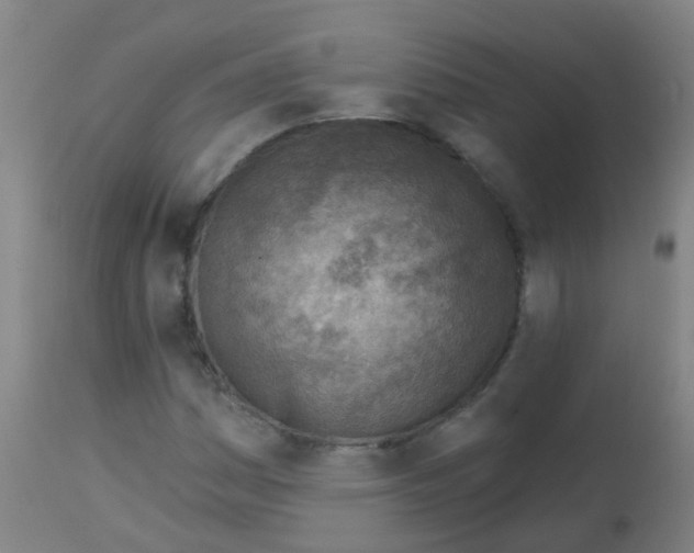 X0000113861161200910221435