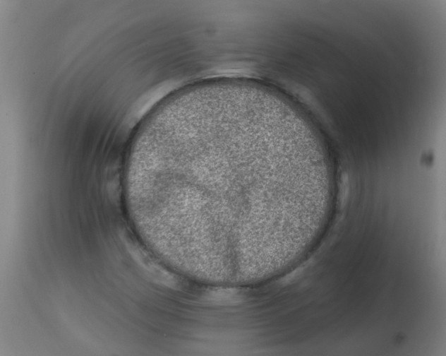 X0000113861162200910221434