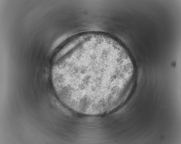 X0000113861163200910221434