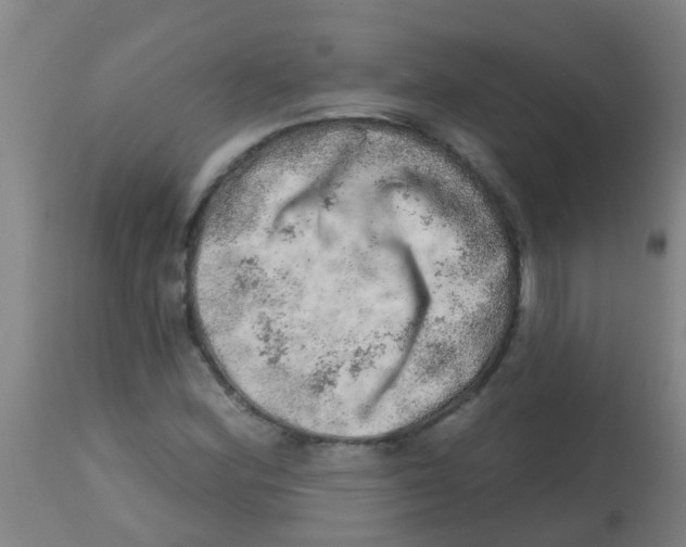 X0000113861164200910221434