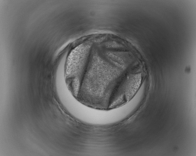 X0000113861165200910221434
