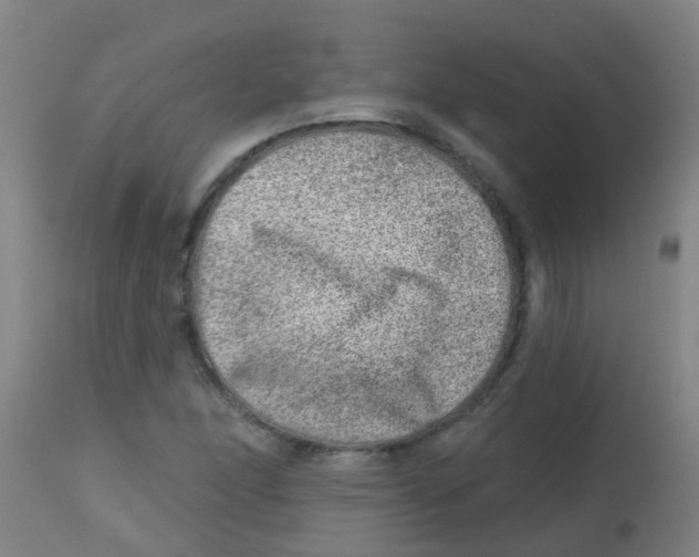 X0000113861166200910221434