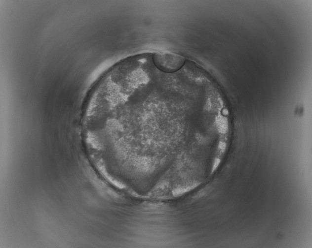 X0000113861168200910221434
