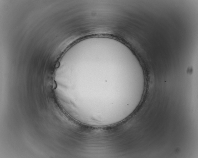 X0000113861169200910221434